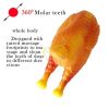 D0101H9MUDY