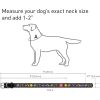D0102HE24DP